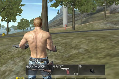 バトロワFPS対戦ゲーム【ハントゾーン：ファイアバトルロイヤル】のプレイ画像